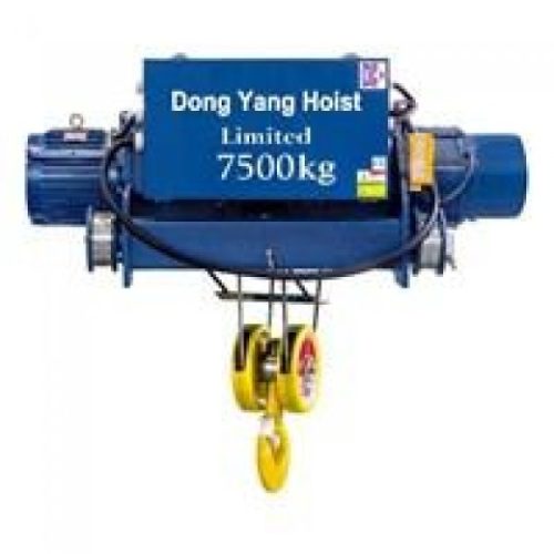 Palang cáp Hàn Quốc DONGYANG 2 dầm tải 7.5 tấn