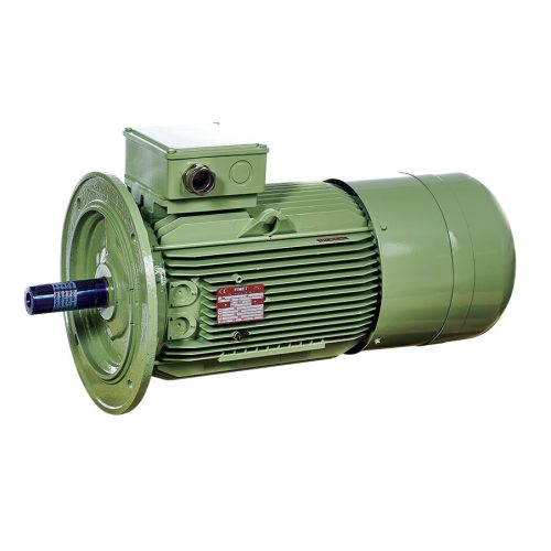 Động cơ tự hãm Dòng M2AO-MAO / M3AY-M2Y